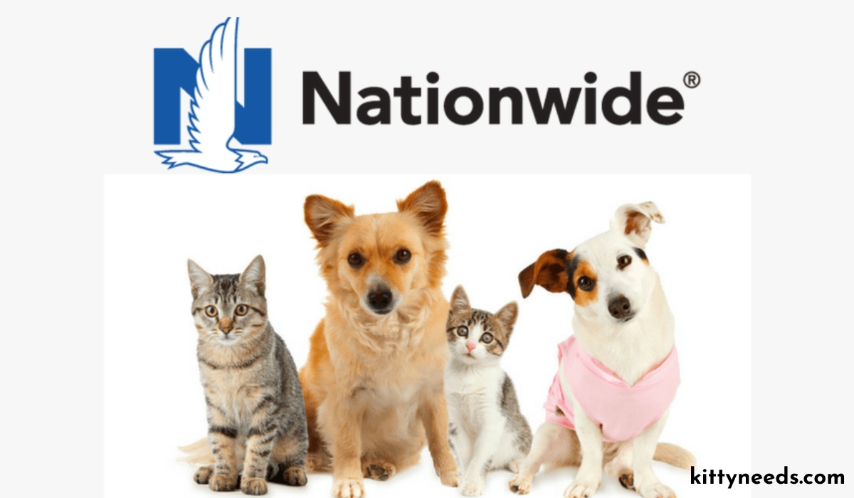 nationwide pet insurance