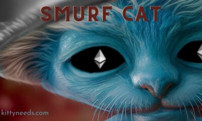 smurf cat