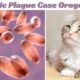 bubonic plague case oregon cat