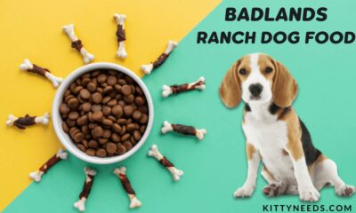 badlands ranch dog food
