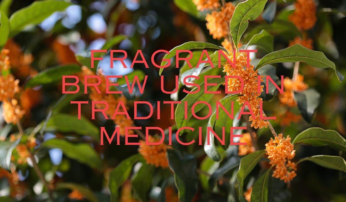 Fragrant Brew used in Traditional Medicine