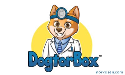 Dogtor Box